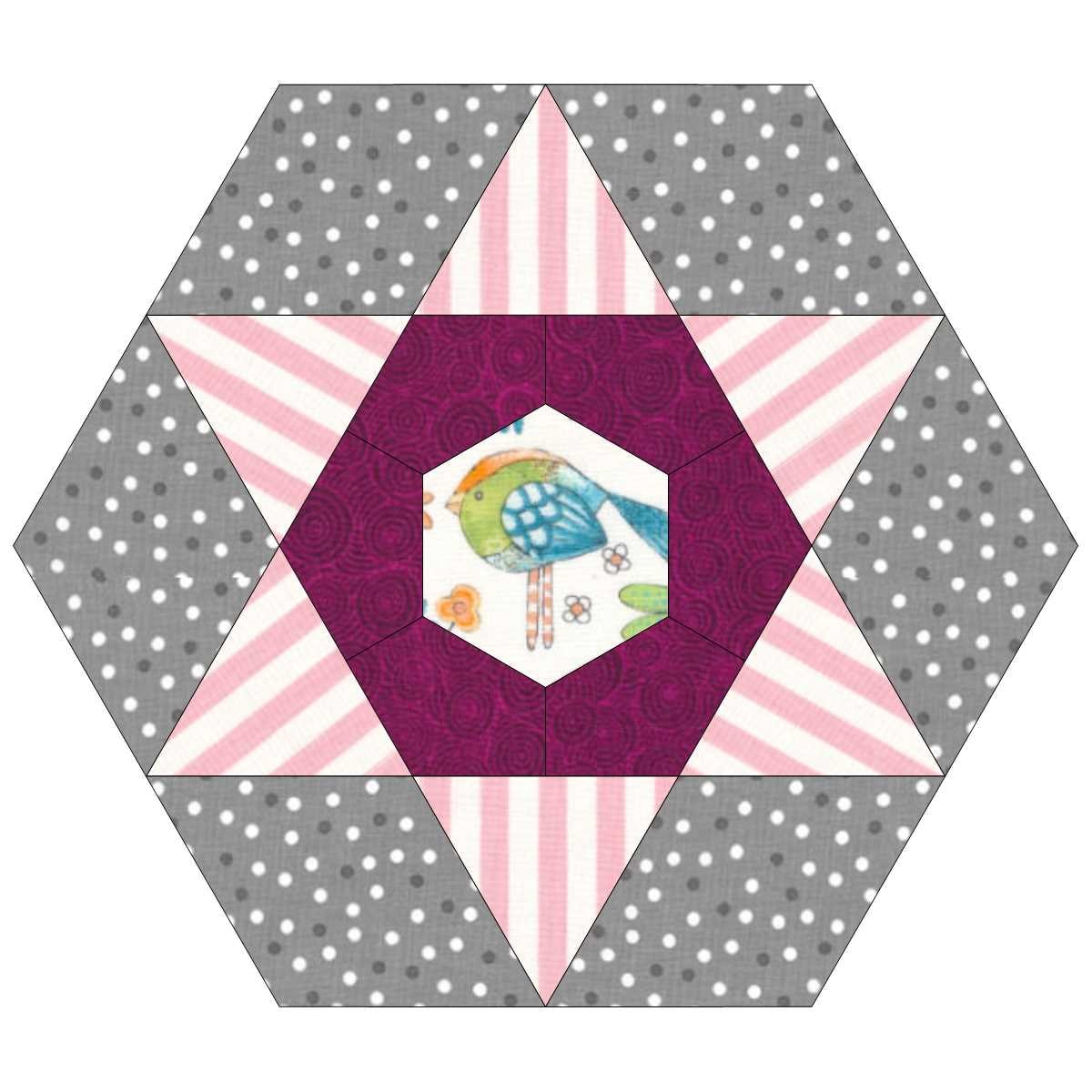 EQ8 Lessons with Lori – Hexagon Quilt Layouts Part 1